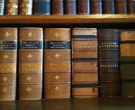 SMTP Expert Witness Legal Terminology