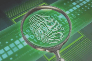 email expert witness | email fraud | email forensics