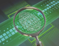 email expert witness | email fraud | email forensics