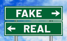 Email forensics expert evaluating whether an email is fake or real.